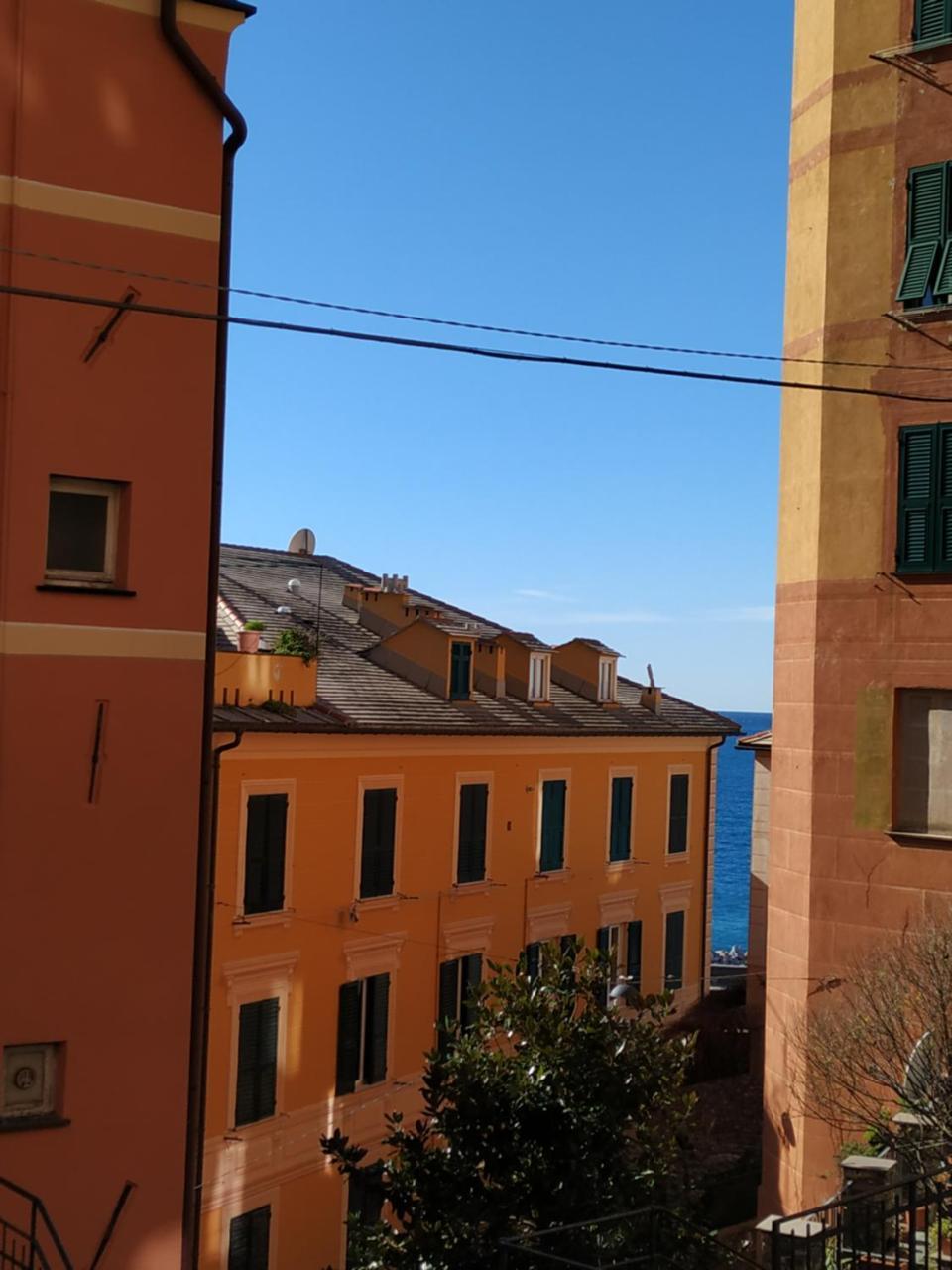 Augusta Albergo B&B Camogli Ngoại thất bức ảnh